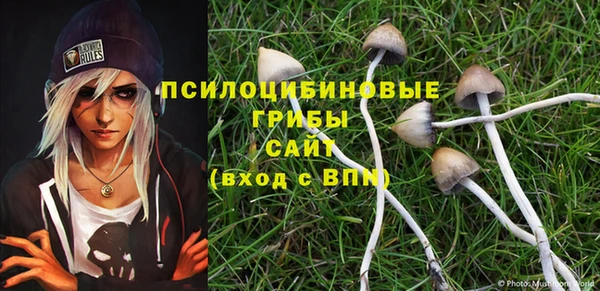 тгк Новокубанск
