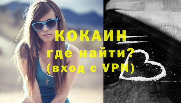 молекула духа Галич