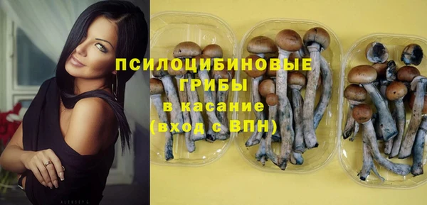 тгк Новокубанск