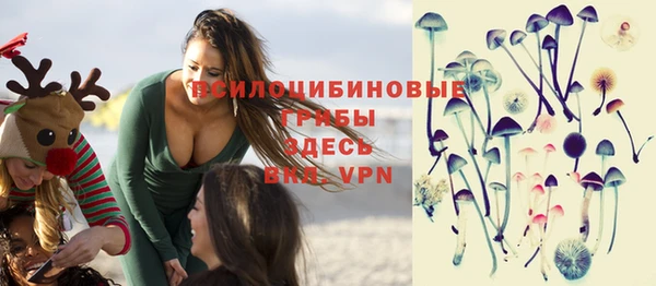 хмурый Нефтекумск