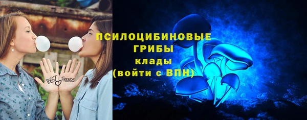хмурый Нефтекумск