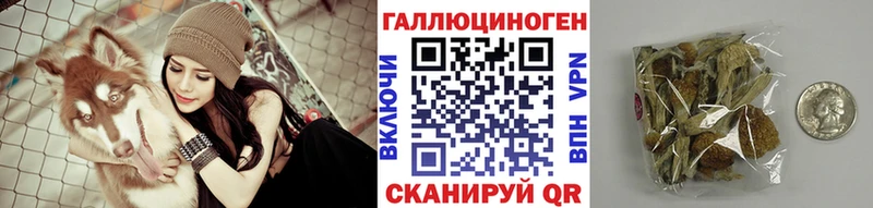 где найти наркотики  Кунгур  Псилоцибиновые грибы Psilocybe 