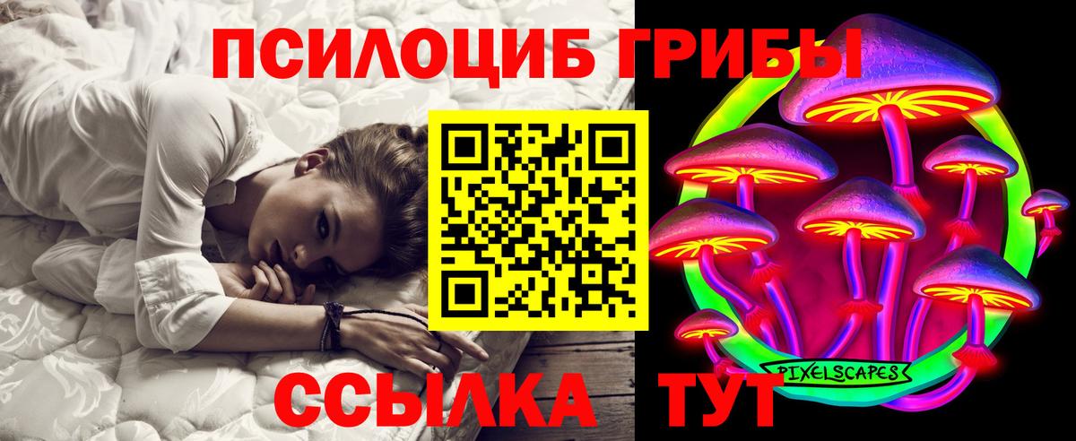 Псилоцибиновые грибы Cubensis Кунгур
